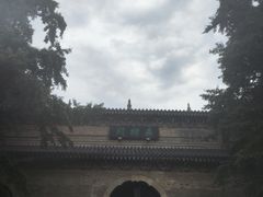-灵谷景区