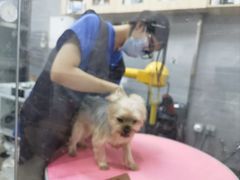 -宠福鑫康馨动物医院·骨科·眼科