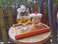 -柴犬高等学院·狗咖·柴犬售卖·宠物训练