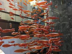 -金满楼(天河中路店)