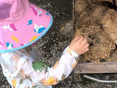 -大象粑粑造纸公园