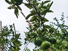 -敬亭山风景名胜区