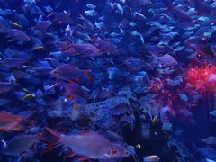 -成都浩海立方海洋公园