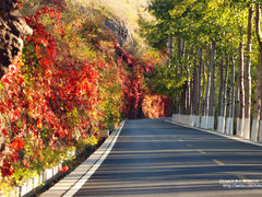 景点-百里山水画廊乌龙峡谷