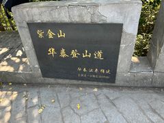 -紫金山山顶公园