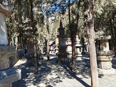 -四门塔风景区