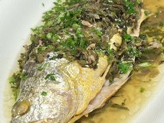 -顶特勒·黄鱼馆·特色菜(上海大世界店)