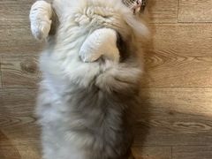 -白兔子密室(长寿路店)