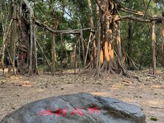 -中国科学院西双版纳热带植物园