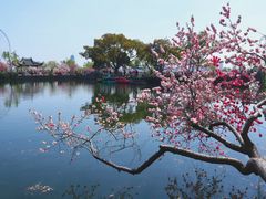 -无锡蠡湖国家湿地公园-蠡园