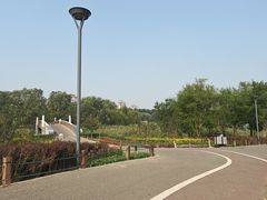 -马家湾湿地公园