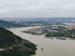 -铁山坪森林公园