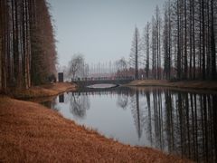 -黄海国家森林公园