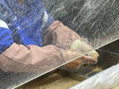 -叶氏麻糍(鼓浪屿店)