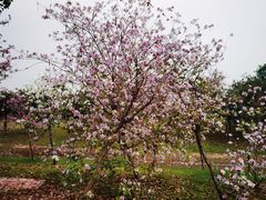 -荔湾区儿童公园