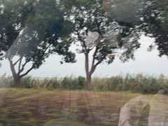 -阳澄湖半岛旅游度假区