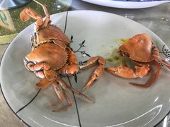 -沙田台山海鲜·酣客酒窖