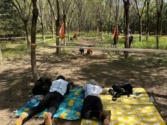 -上林马术中央公园·户外露营·团建·骑乘