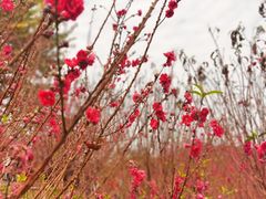 -白水带风景区体育公园