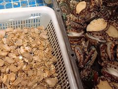 -绿杨春·淮扬宴(庐山路店)