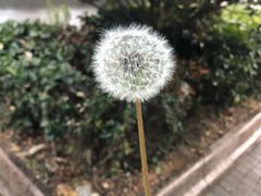 -一块豆腐·海鲜·家常菜(李沧书院路店)