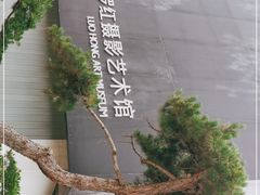 -罗红摄影艺术馆