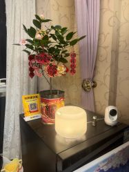 -奕美功能性体态调整·塑型·产后恢复(永利国际店)