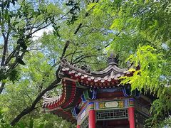 -莲湖公园
