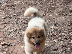 -火炉山森林公园