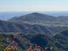 -北京西山国家森林公园