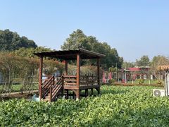 -洪湖家庭农场·团建·露营·会议