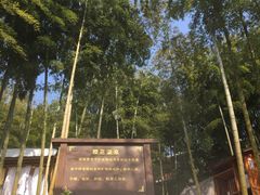 -江南天池高山汤泉城