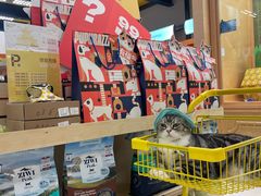 -帕帕拉兹宠物(亚洲旗舰店)