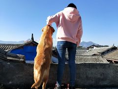 -浔岚云舍mist静谧观景美宿(丽江古城店)