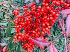 -三江森林温泉度假区