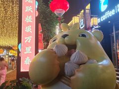 -合肥野生动物园