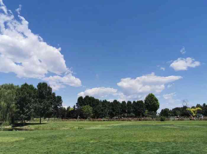 圣露庄园中餐厅-"参加朋友婚礼来到圣露国际酒庄,才知道原来.