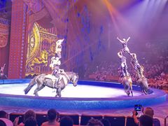 -珠海横琴长隆《卡卡虎奇遇记》