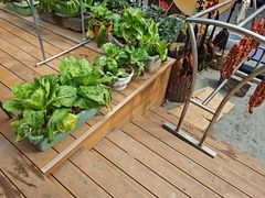 -小丫头餐厅·江浙菜·烧烤(灵隐店)