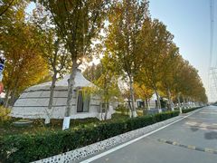 -九十九顶毡房(阜石路店)