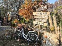 -HERRE·FARM 赫尔露营农场·团建聚会包场