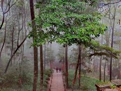 -青城山