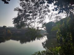-荔湾湖公园