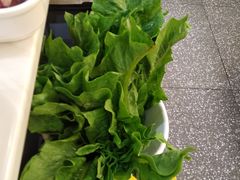 -潮汕大目牛肉火锅(上梅林店)