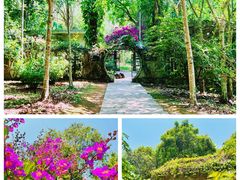 -中国科学院西双版纳热带植物园