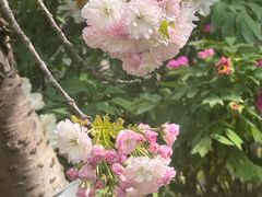 -江南大学(蠡湖校区)