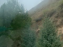 -苏木山森林公园