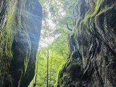 -牛背梁国家森林公园