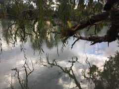 -汤旺河林海奇石景区