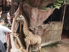 -长鹿旅游休博园